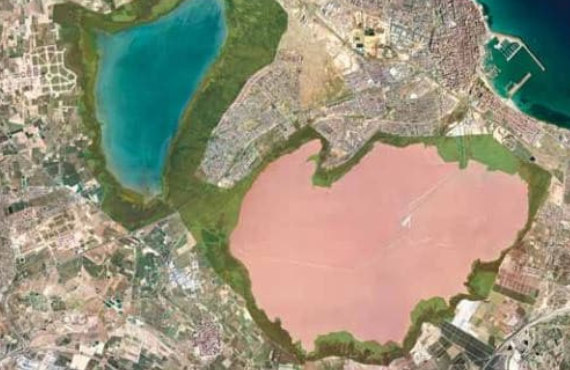 Pink lake in Torrevieja